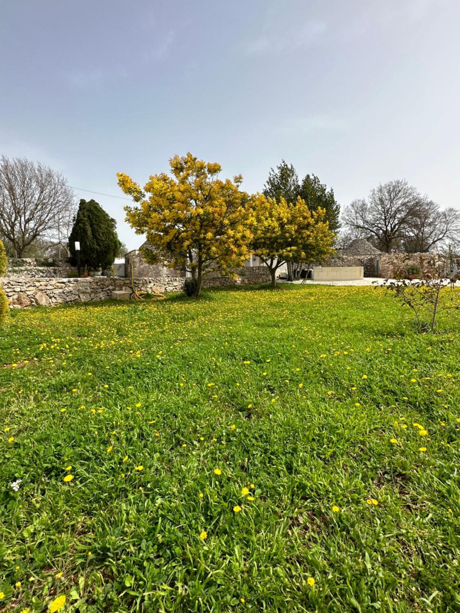 Trulli In Contrada Βίλα Νότσι Εξωτερικό φωτογραφία
